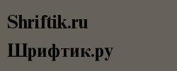 Times New Roman Cyr Bold 